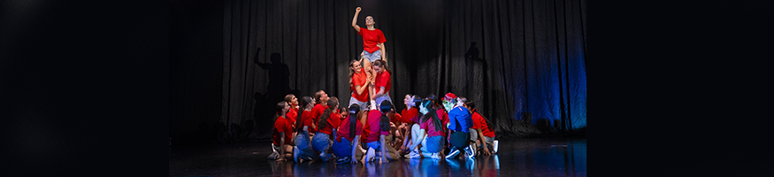 Leap Schools Dance Platform